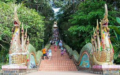 Staircase with dragon sculptures leading to a temple in Chiang Mai, surrounded by lush greenery.
