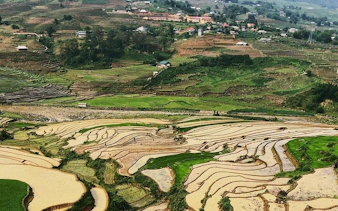 Terraced rice fields in Ta Phin Village, Sapa, with distant village view.