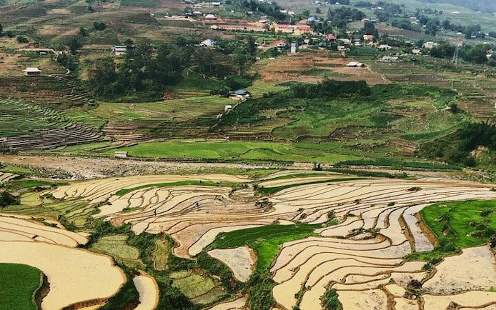 Terraced rice fields in Ta Phin Village, Sapa, with distant village view.