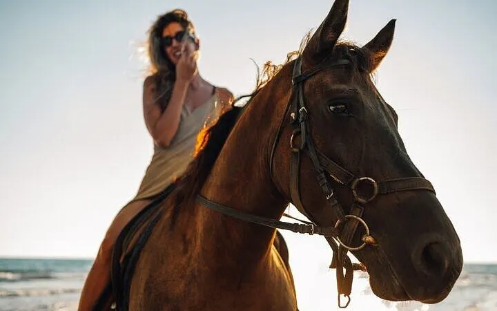 Desert and Red Sea Horseback Riding Experience with Hotel Transfers and Refreshments in Hurghada