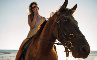 Horseback rider on the beach during sunset in Hurghada, Egypt.