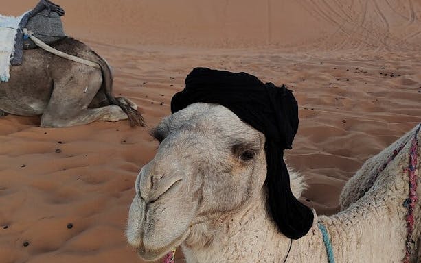 from marrakesh to fes 4-day merzouga desert tour with camel trek, sandboarding & atlas mountains-5