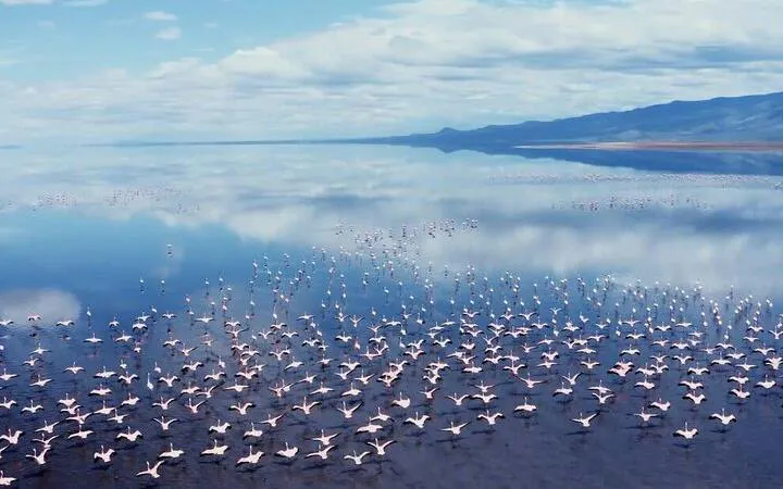 From Arusha: 3-Day Lake Natron and Tarangire National Park Private Safari