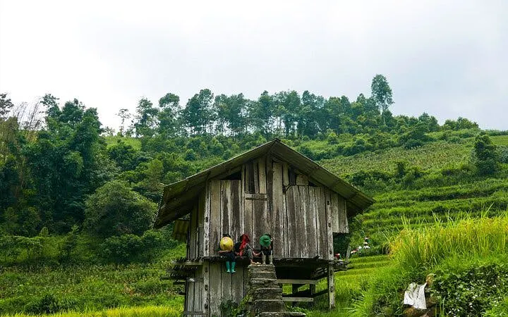 Wooden house in Muong Hoa Valley, Sapa, surrounded by lush green terraces.