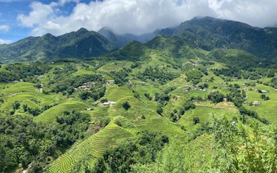 Terraced rice fields in Sapa Valley with mountains in the background, Vietnam.