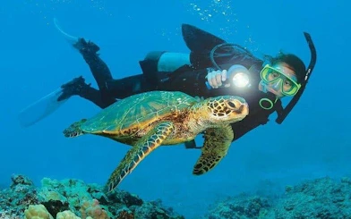 Scuba Diving and Snorkeling Trip in Side