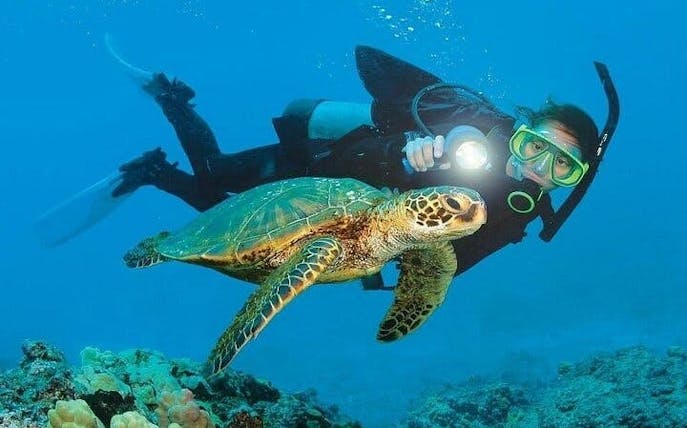 escursione di immersioni subacquee e snorkeling a side-1