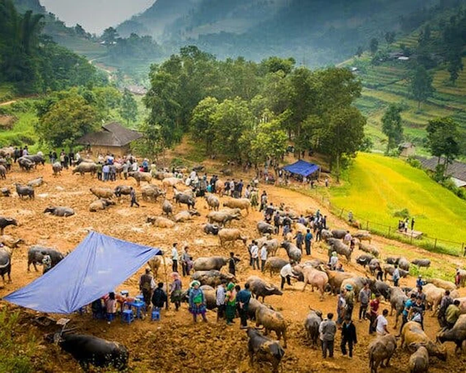 Bac Ha Market Day Trip by Motorbike from Sapa with Lunch and Bottled Water (Product 54221)