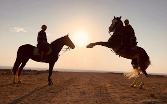 Horseback riders at sunrise in the desert near the Red Sea, Hurghada.