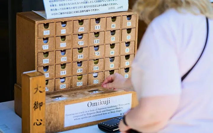 Tokyo: Meiji Shrine Walking Tour — Shinto & Imperial System Image 1