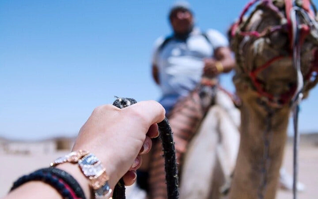 Un'ora di giro in cammello nel meraviglioso deserto, con trasferimento incluso - Sharm el-Sheikh — 4