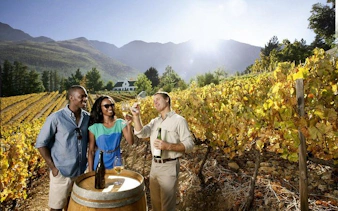 cape town private family tour with wine tasting and animal encounters-4