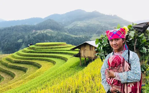 Sapa rice terraces with local villager in traditional attire, Vietnam.