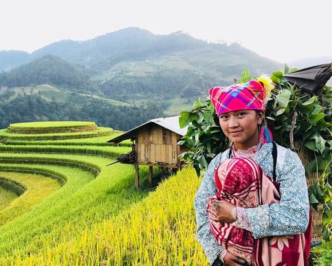 Sapa Trekking Tour of Rice Terraces and Minority Villages with Homestays and Meals (Product 54184)