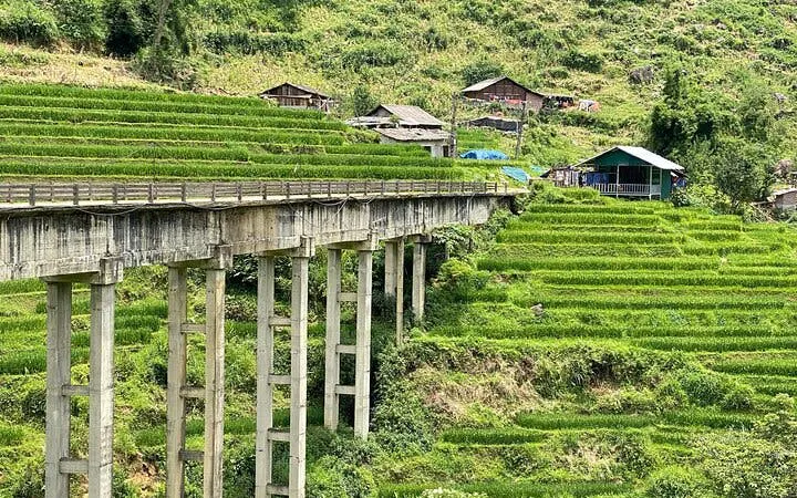 Terraced rice fields and bridge on Sapa trekking tour, Y Linh Ho, Vietnam.