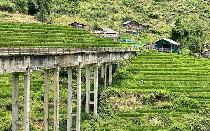 Terraced rice fields and bridge on Sapa trekking tour, Y Linh Ho, Vietnam.