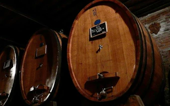 Wine barrels in a Montepulciano winery cellar during a tasting tour.