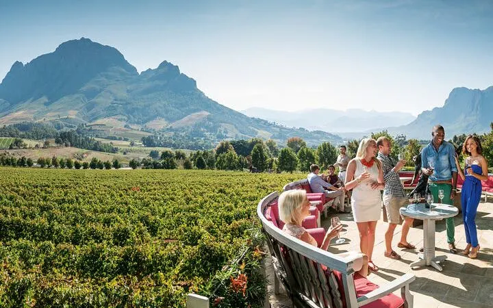 Stellenbosch and Franschhoek Private Wine Tour with Tastings and Lunch Image 10