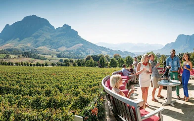 Stellenbosch and Franschhoek Private Wine Tour with Tastings and Lunch