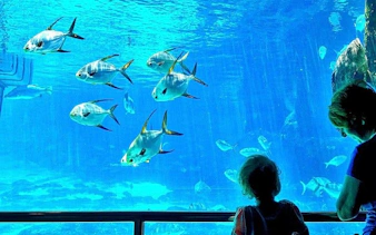 cape town private family tour with wine tasting and animal encounters-5