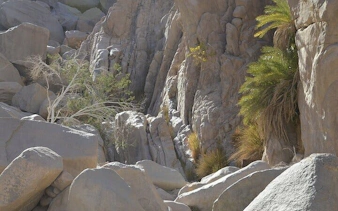 Rocky desert landscape with sparse vegetation in Echo Valley, Sharm El Sheikh.