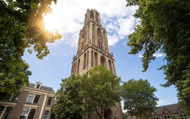 Utrecht Dom Tower surrounded by trees on a sunny day.