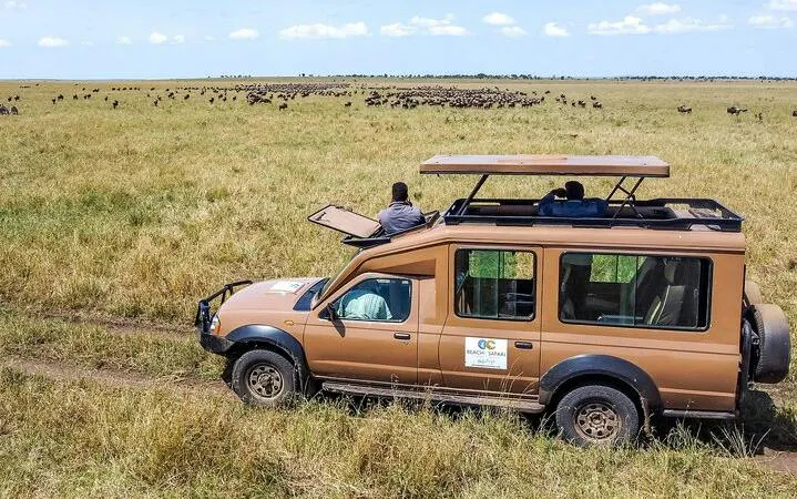From Arusha: Private 6-Day Serengeti, Ngorongoro Crater, Lake Manyara & Ndutu Safari