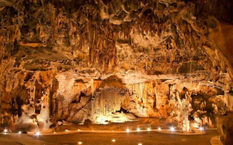 garden route safari and wildlife tour from cape town with oudtshoorn and mossel bay visits-3