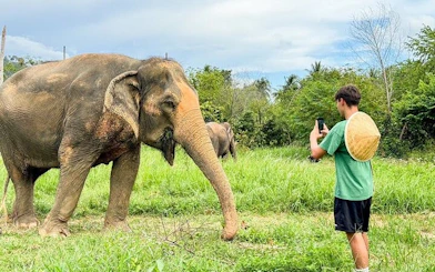 Elephant interaction at Samui sanctuary with visitor taking photos.