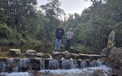 Visitors standing on stone path over stream in Sapa forest during private 2-day tour with homestay in Ta Van.