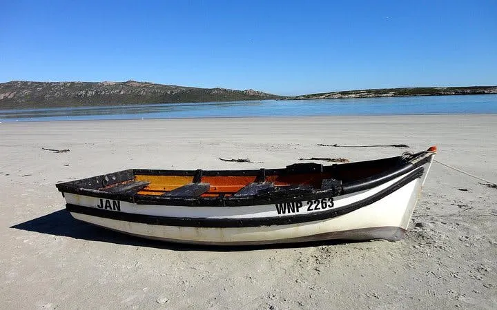 cape west coast private guided tour from cape town-6
