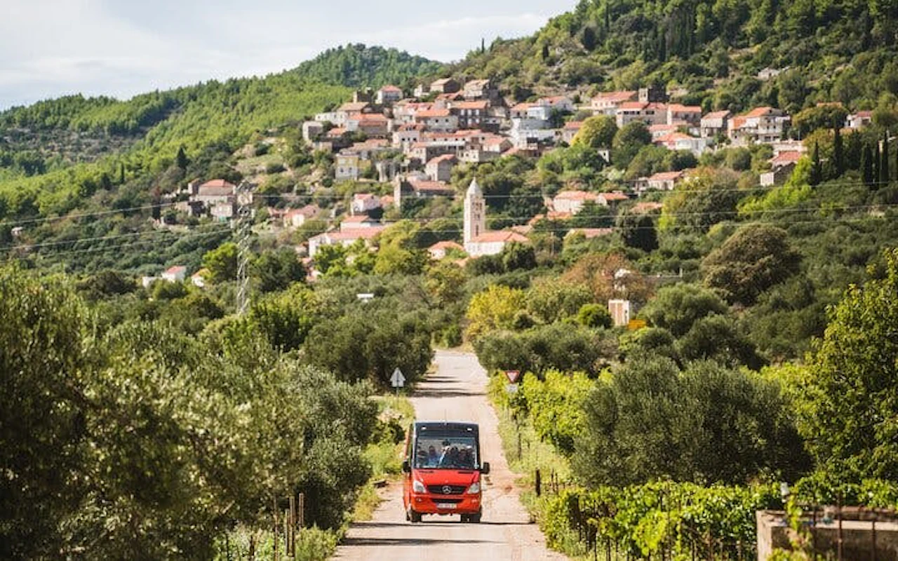 Tour dei vini a Korčula in minibus scoperto con degustazioni di vini in tre cantine e prelibatezze locali — 8
