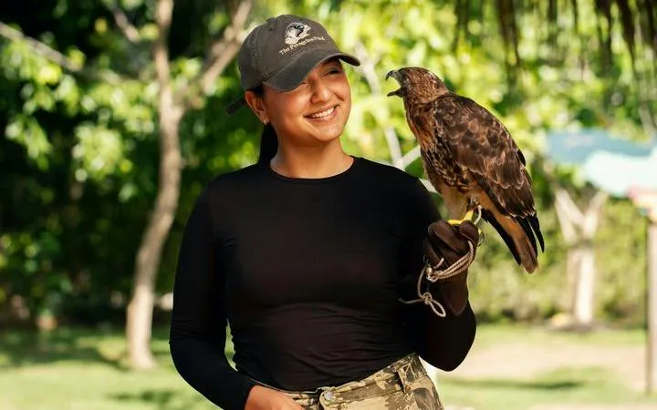 Person holding a bird of prey at wildlife conservation area, Punta Cana.