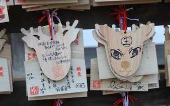 nara private guided cross bike tour with admission fees and bike gear-4