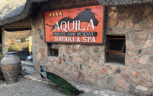 aquila private game reserve safari and buffet lunch with shared 4x4 game drive-3