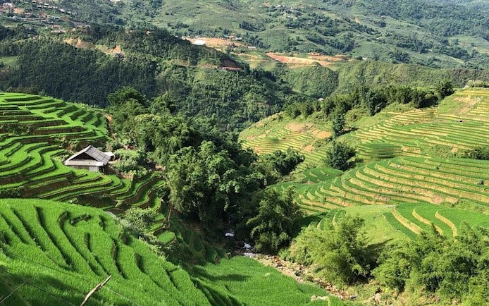 Terraced rice fields in Sapa with a traditional house, part of the motorbike tour to Cat Cat Village.