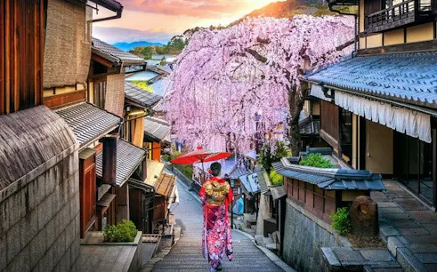Kyoto Gion district street with cherry blossoms and person in traditional attire.