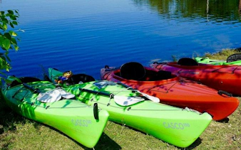 Kayaks on the shore of a calm blue waterway in Key Largo, ready for a mangrove adventure.