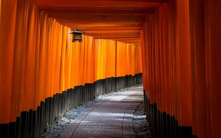 Kyoto Guided Morning Tour of Fushimi Inari Shrine and teamLab Bio-Vortex with Admission Ticket Image 7