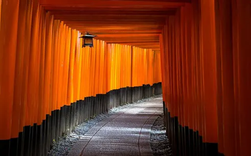 Fushimi Inari Shrine's iconic red torii gates in Kyoto, Japan, part of guided morning tour.