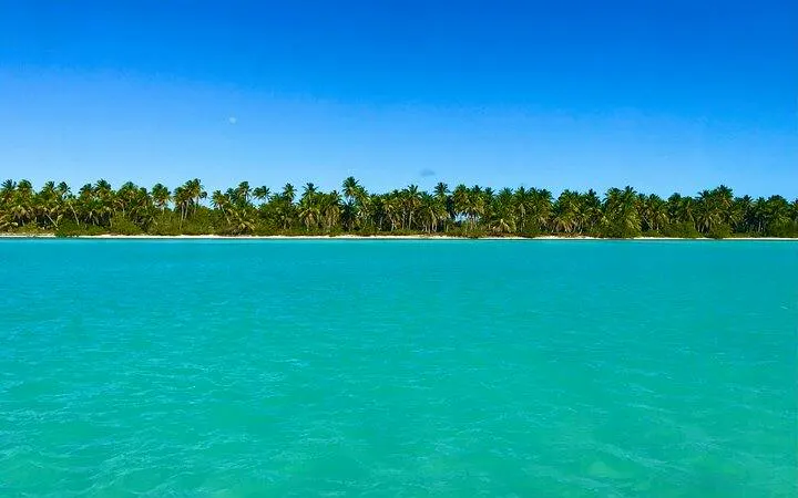 Saona Island beach with turquoise water and palm trees, Punta Cana day trip.