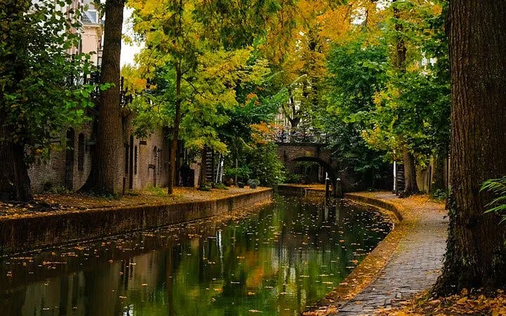 Utrecht canal with autumn trees and historic bridge on walking tour route.