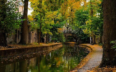 Utrecht canal with autumn trees and historic bridge on walking tour route.