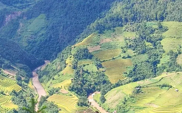 Terraced rice fields in Mu Cang Chai, Northern Vietnam, with lush green mountains and a winding river.