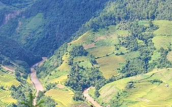 Terraced rice fields in Mu Cang Chai, Northern Vietnam, with lush green mountains and a winding river.