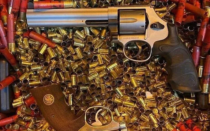Shooting Range Experience with Roundtrip Transfer From Side Image 8