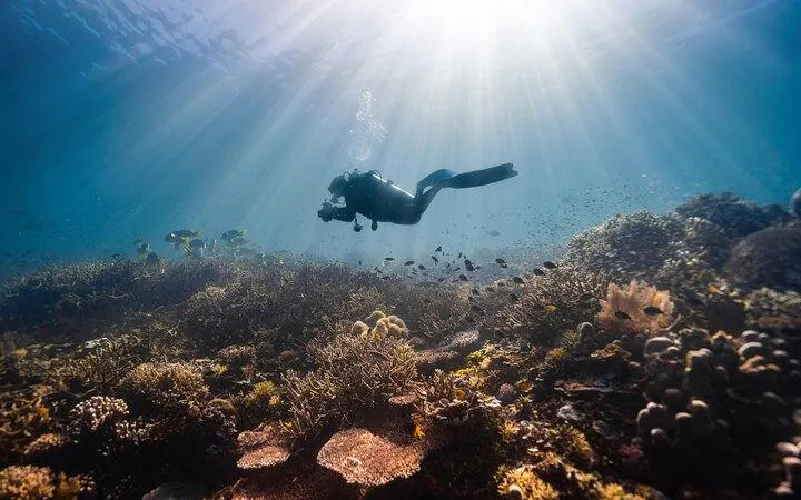 Diver exploring coral reef in Hurghada during a professional dive trip.
