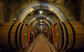 Barrels in a Chianti wine cellar on a half-day tour from Florence.