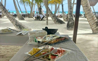 Beachside lunch setup with fruit platters under palm trees on Saona Island, Punta Cana.