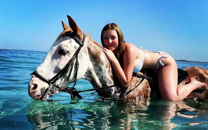 Horse swimming in the Red Sea with rider during Hurghada beach tour.
